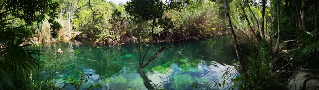 Un endroit merveilleux à découvrir à proximité de Tulum : le Cenote Escondido